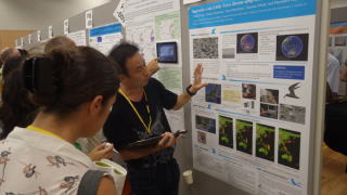 �|�X�^�[���\