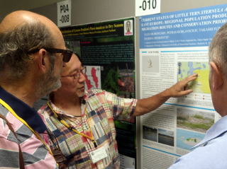 �|�X�^�[���\