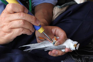 �W�I���P�[�^�[����