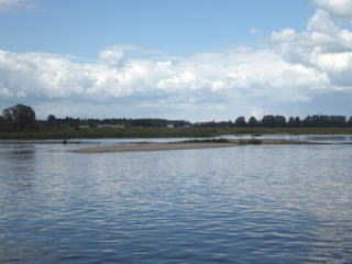 コアジサシが営巣していた島