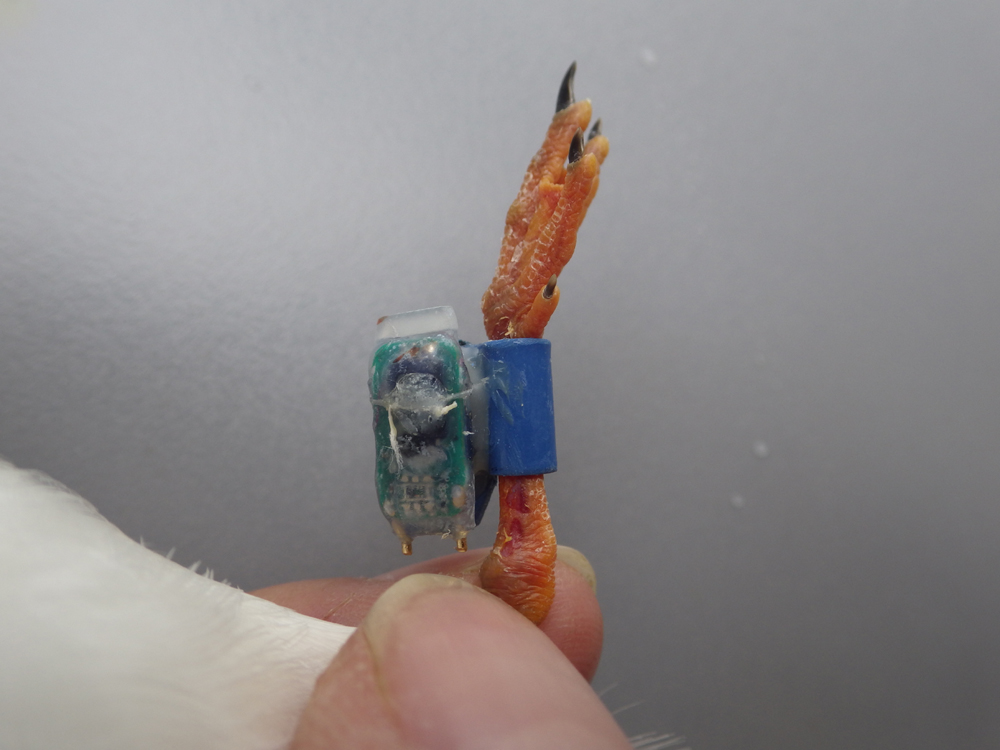 �W�I���P�[�^�[