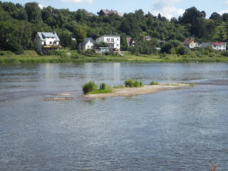 コアジサシの繁殖地