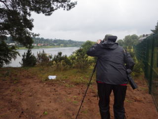 ジオロケーター個体を観察