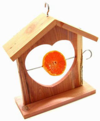 �N�I���X�쒹�̃G�T�䂭�����̗p�n�E�X�^