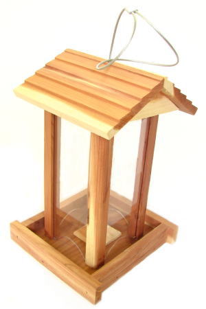 �쒹�̉a��No.1