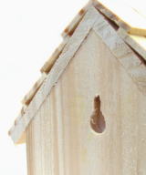 �N�I���X�쒹�̉a��No.5�t�b�N�p��