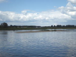 コアジサシが営巣していた島