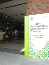 ���ے��ފw��