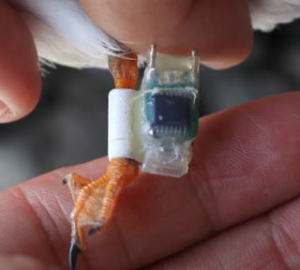 �W�I���P�[�^�[