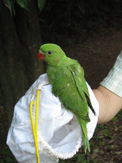 ���M�@�̑���