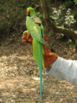 ���M�@�̑���