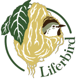 Liferbird