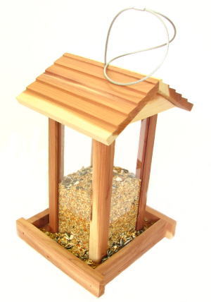 �N�I���X�쒹�̃G�T��No.1�a����