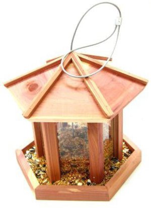 �N�I���X�쒹�̃G�T��No.3�a����