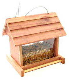 �N�I���X�쒹�̃G�T��No.4�a����