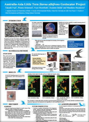 �|�X�^�[�Z�b�V����