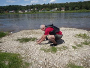 卵と巣の大きさを計測