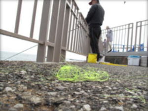 �e�O�X�Ƃ�